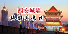 狂插小骚妇的小骚逼中国陕西-西安城墙旅游风景区